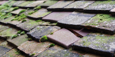Little Crosby roof repair costs